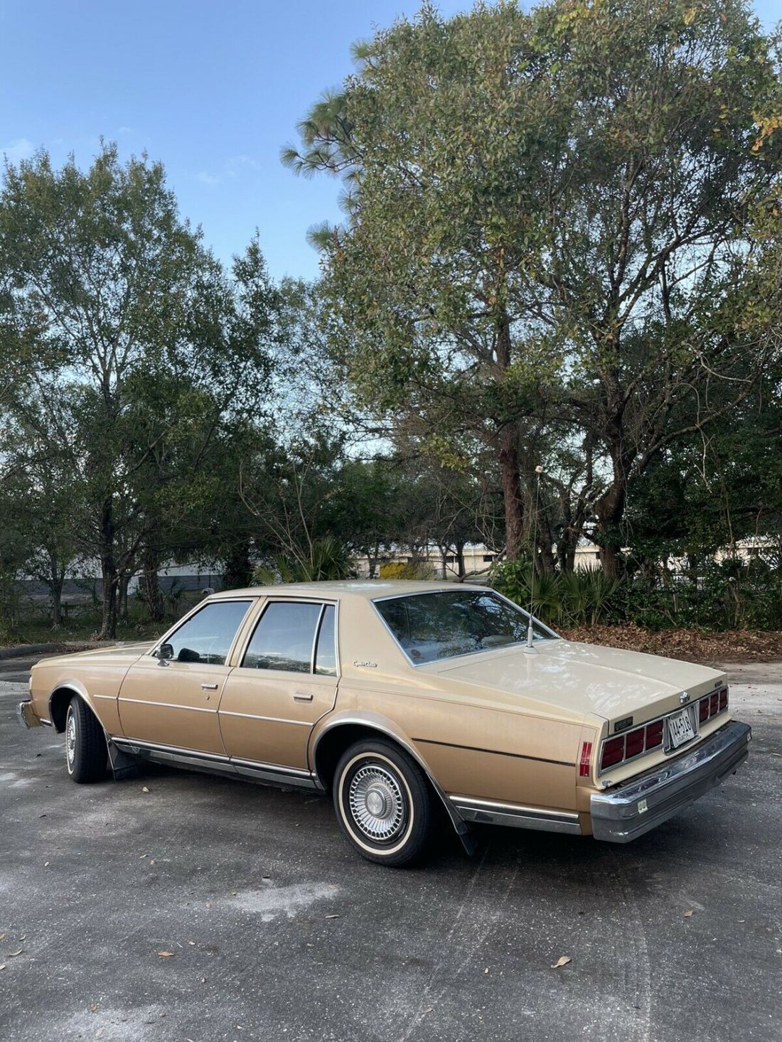 1978 Chevrolet Caprice - photo 4
