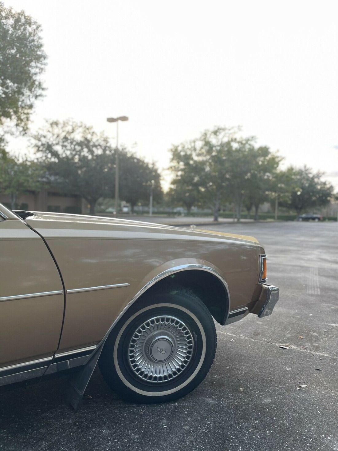 1978 Chevrolet Caprice - photo 5