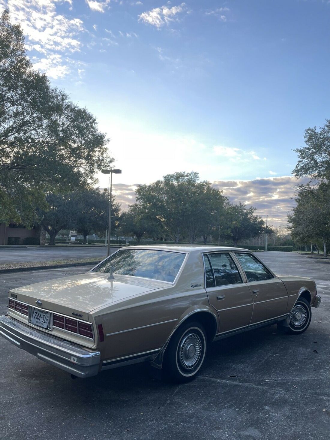 1978 Chevrolet Caprice - photo 6