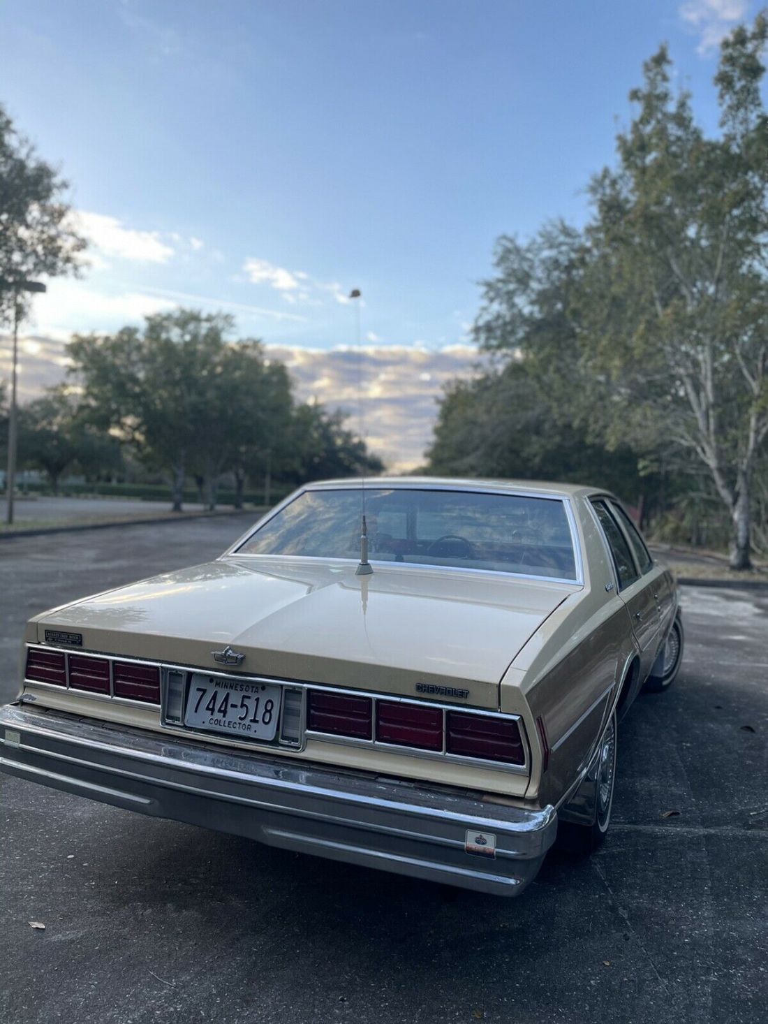 1978 Chevrolet Caprice - photo 7
