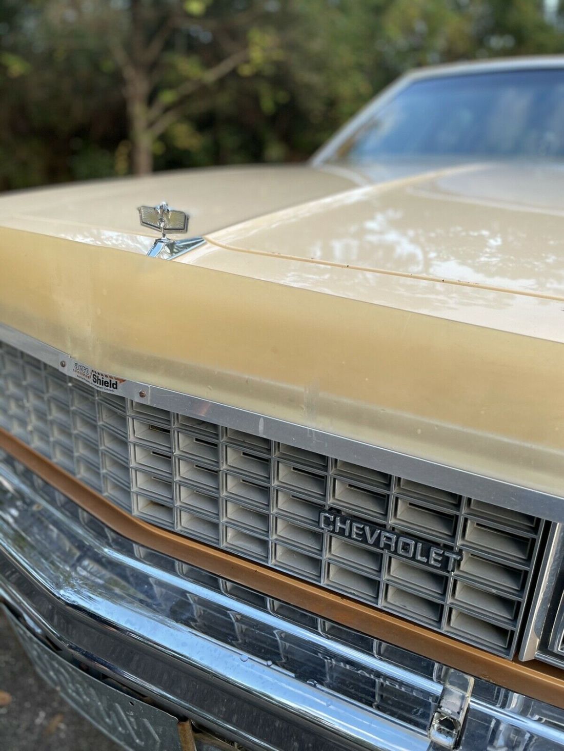 1978 Chevrolet Caprice - photo 9