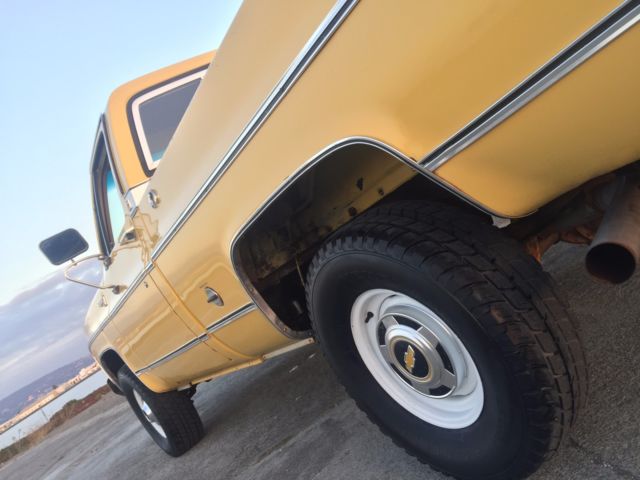 1978 Chevrolet C/K Pickup 1500 Cheyenne - photo 10