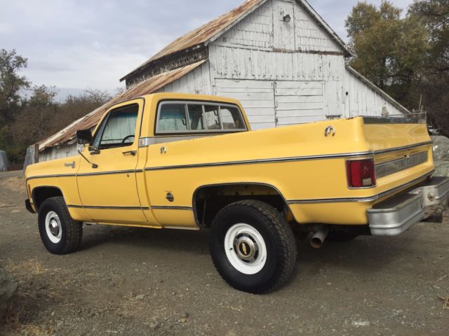 1978 Chevrolet C/K Pickup 1500 Cheyenne - photo 2