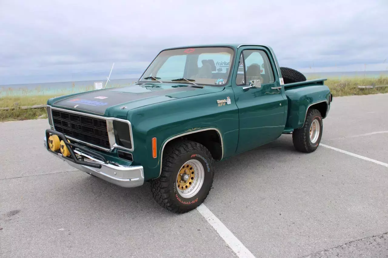 1978 Chevrolet C/K 10 Series C10 - photo 3