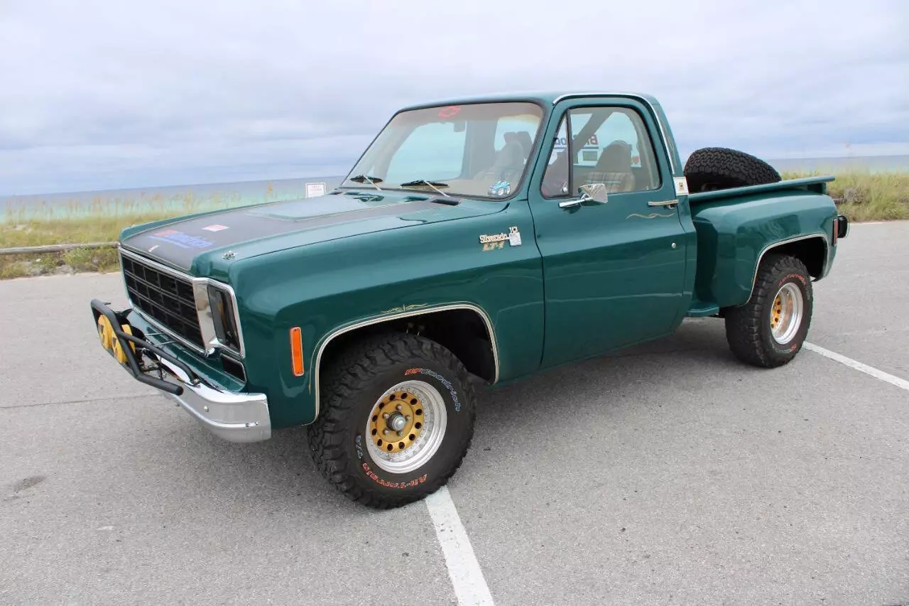 1978 Chevrolet C/K 10 Series C10 - photo 4