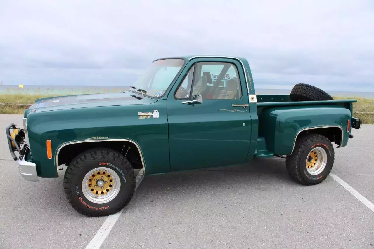 1978 Chevrolet C/K 10 Series C10 - photo 5