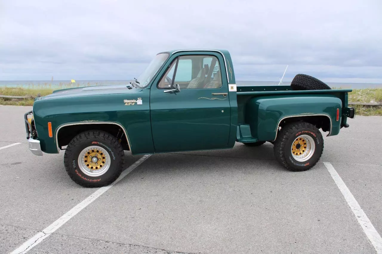 1978 Chevrolet C/K 10 Series C10 - photo 6