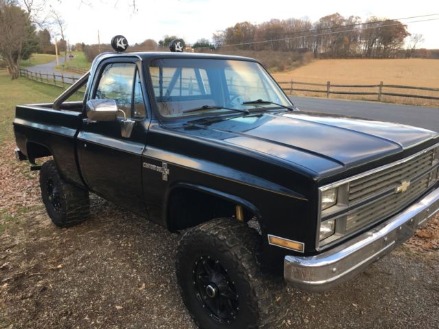 1978 Chevrolet C/K Pickup 1500 custom deluxe - photo 5