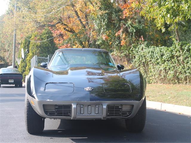 1978 Chevrolet Corvette 25th - photo 10