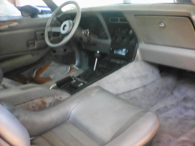 1978 Chevrolet Corvette Anniversary Edition - photo 10