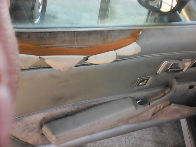 1978 Chevrolet Corvette Anniversary Edition - photo 11