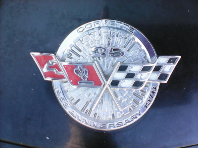 1978 Chevrolet Corvette Anniversary Edition - photo 13