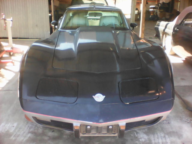 1978 Chevrolet Corvette Anniversary Edition - photo 2