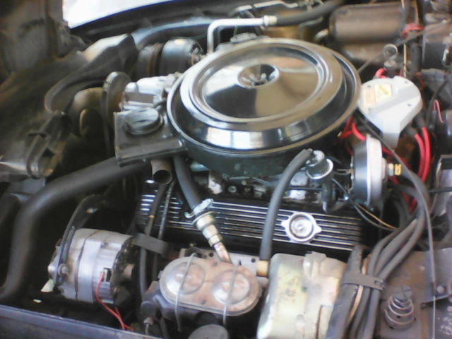 1978 Chevrolet Corvette Anniversary Edition - photo 8