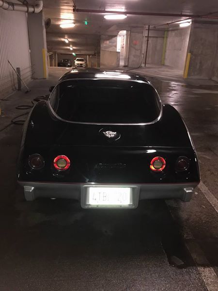 1978 Chevrolet Corvette 25th Anniversary - photo 2