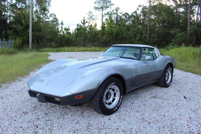 1978 Chevrolet Corvette 25th Silver Anniversary 48k Miles ~120+ Pictures~