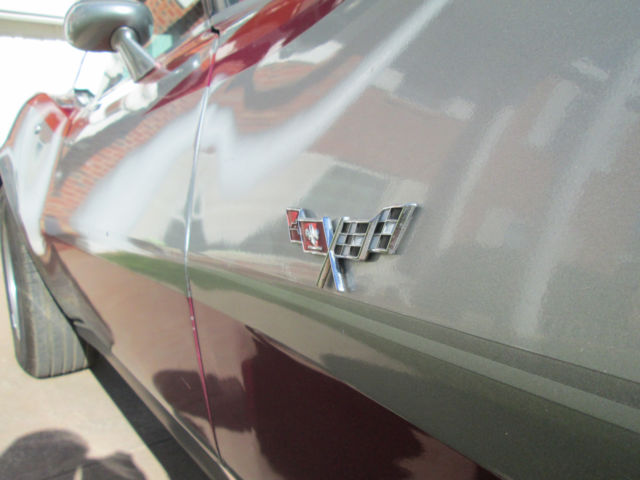 1978 Chevrolet Corvette 1978 Chevrolet Corvette 25th - photo 7