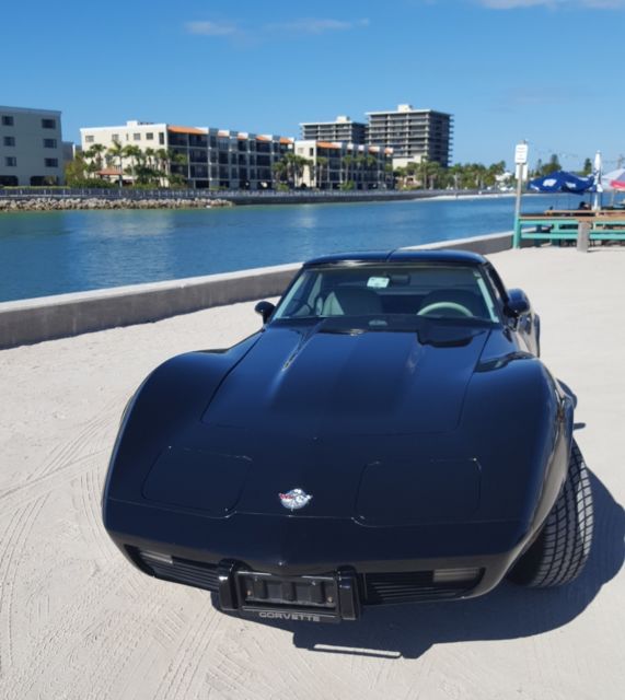 1978 Chevrolet Corvette Coupe - photo 2