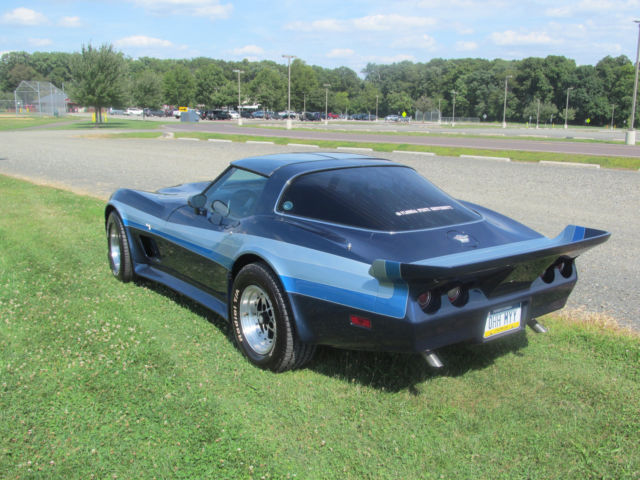 1978 Chevrolet Corvette 25th Anniversary Edition - photo 3