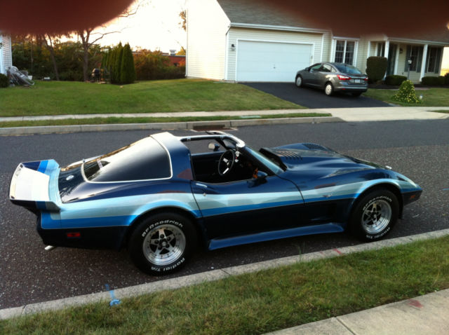 1978 Chevrolet Corvette 25th Anniversary Edition - photo 5