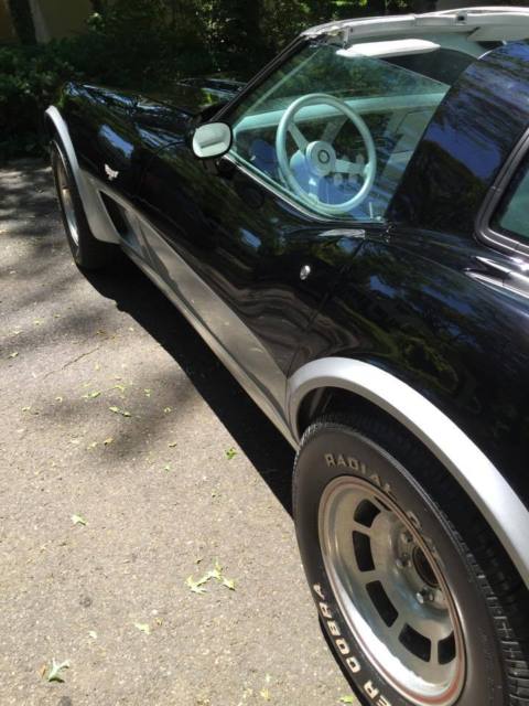 1978 Chevrolet Corvette L-82 - photo 7