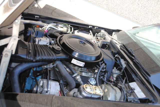 1978 Chevrolet Corvette Indianapolis Pace Car - photo 13