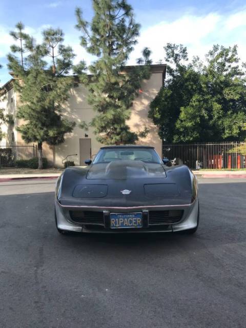 1978 Chevrolet Corvette Pace Car - photo 4