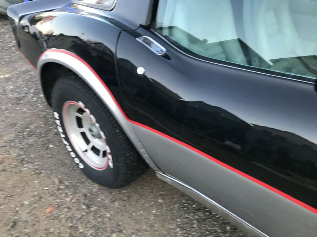 1978 Chevrolet Corvette Pace Car - photo 10
