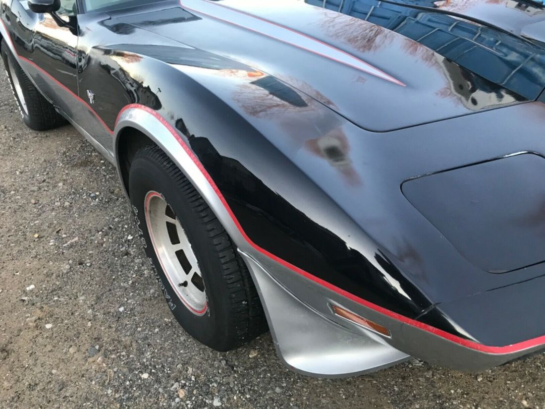 1978 Chevrolet Corvette Pace Car - photo 9
