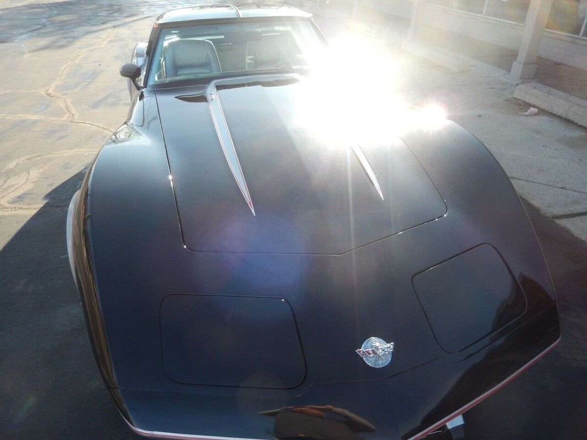 1978 Chevrolet Corvette Pace Car - photo 4