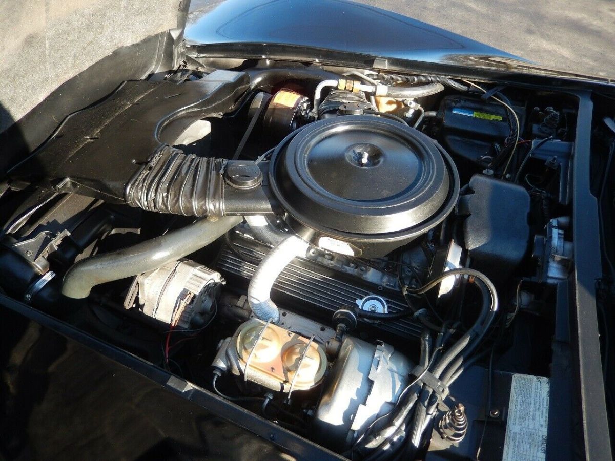 1978 Chevrolet Corvette Pace Car - photo 8