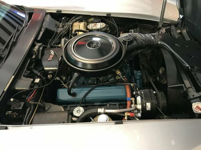 1978 Chevrolet Corvette Silver Anniversary collector's Edition - photo 9