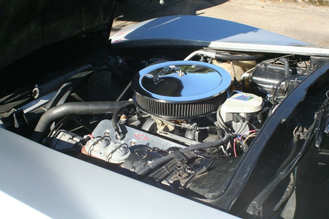 1978 Chevrolet Corvette 1978 Silver Anniversary - photo 11