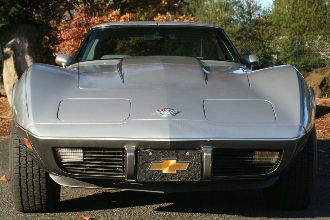 1978 Chevrolet Corvette 1978 Silver Anniversary - photo 7