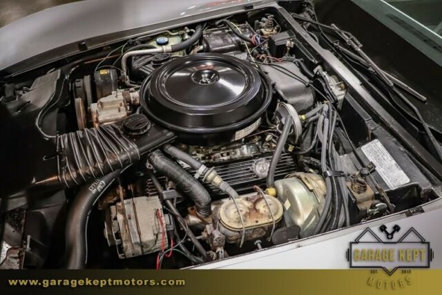 1978 Chevrolet Corvette Silver Anniversary - photo 3