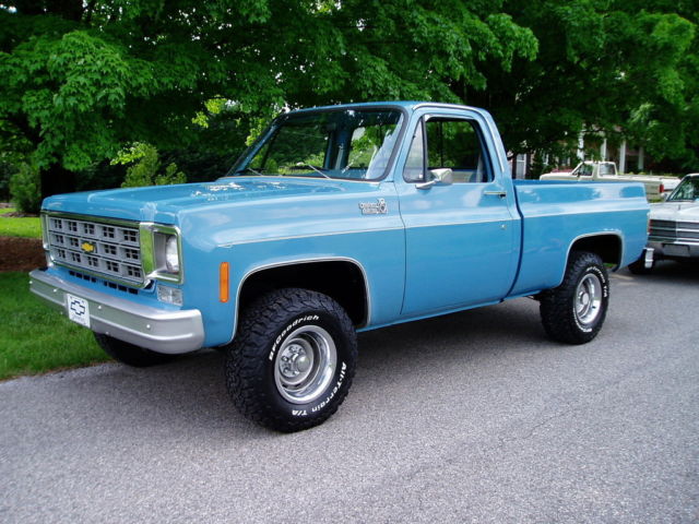 1978 Chevrolet C/K Pickup 1500 2-Door Regular Cab