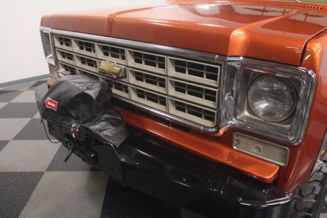 1978 Chevrolet Other Pickups 4x4 - photo 10