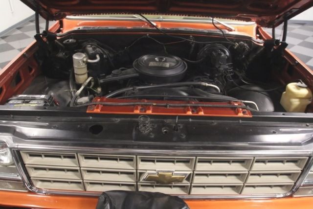 1978 Chevrolet Other Pickups 4x4 - photo 4