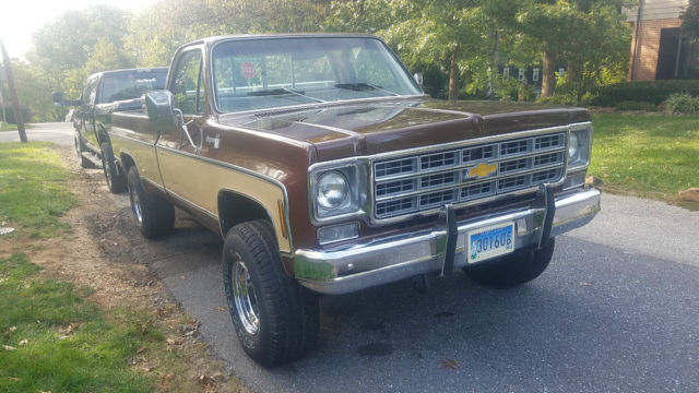 1978 Chevrolet C/K Pickup 1500 Cheyenne - photo 2