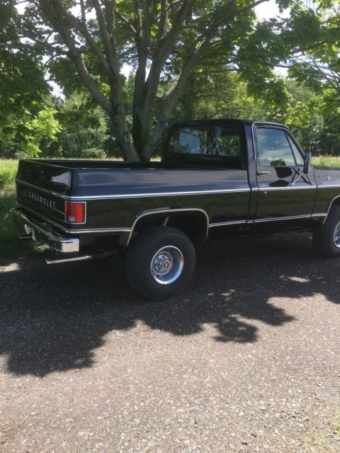 1978 Chevrolet C/K Pickup 1500 - photo 11