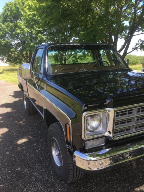 1978 Chevrolet C/K Pickup 1500 - photo 12