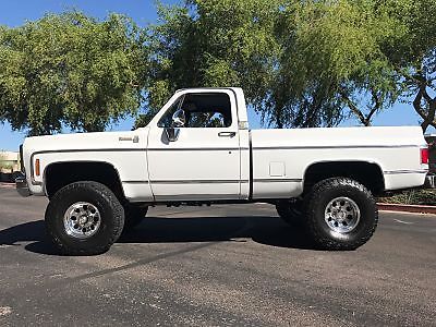1978 Chevrolet C/K Pickup 1500 Silverado - photo 4