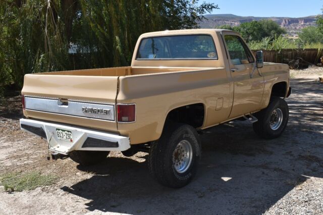1978 Chevrolet C/K Pickup 1500 - photo 2