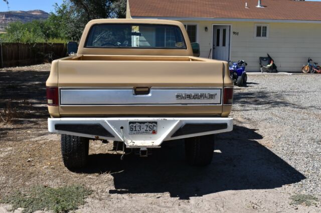 1978 Chevrolet C/K Pickup 1500 - photo 4