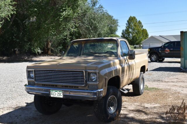 1978 Chevrolet C/K Pickup 1500 - photo 5