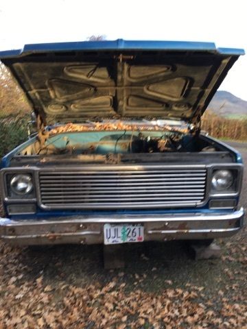 1978 Chevrolet Other Pickups - photo 10