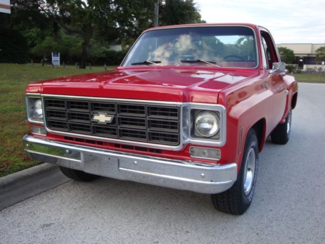 1978 Chevrolet Scottsdale C-Series 10 - photo 2