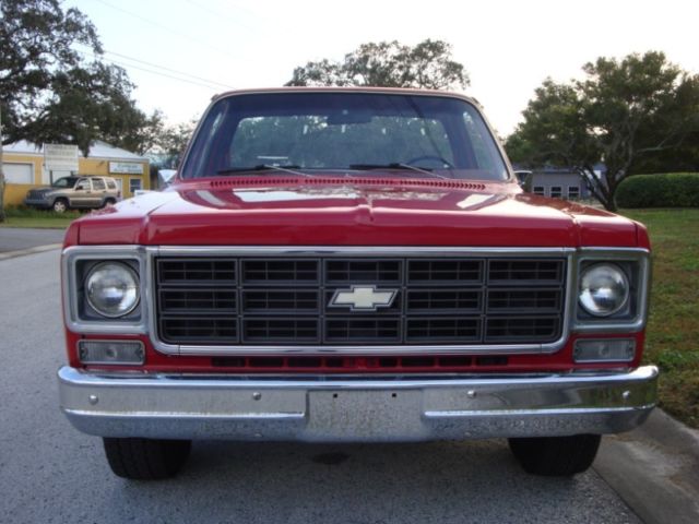 1978 Chevrolet Scottsdale C-Series 10 - photo 3