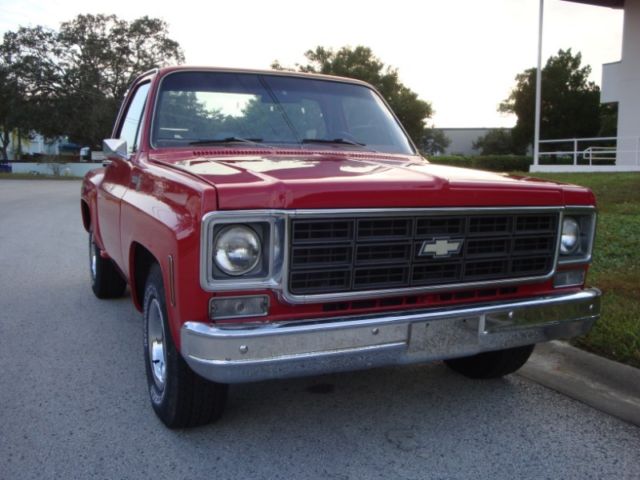 1978 Chevrolet Scottsdale C-Series 10 - photo 4