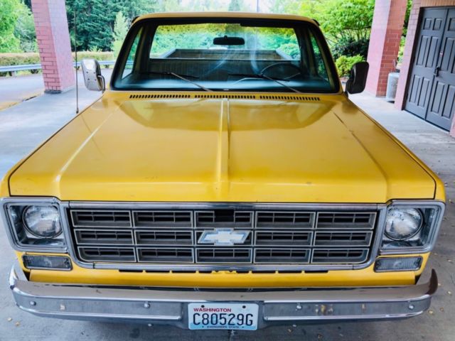 1978 Chevrolet C/K Pickup 2500 Chevrolet ScottsDale20 Long Bed 4x4 - photo 7